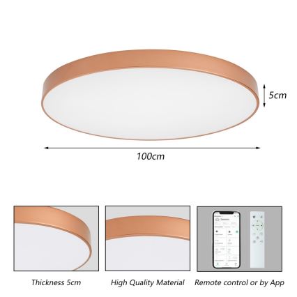 BRILAGI - Zatemnjiva LED stropna svetilka POOL SMART LED/128W/230V 100 cm 3000-6000K Wi-Fi Tuya bronasta + daljinski upravljalnik