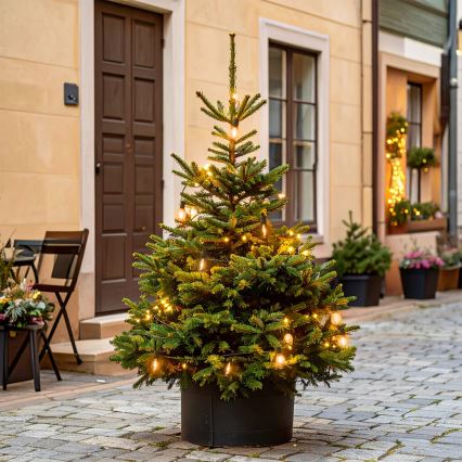 Brilagi - LED zunanja božična girlanda 10xLED/3xAA 3,2m IP44 topla bela