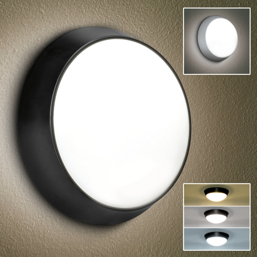 Brilagi - LED Zunanja stenska svetilka 2v1 BULKHEAD LED/20W/230V 3000/4000/6000K IP65