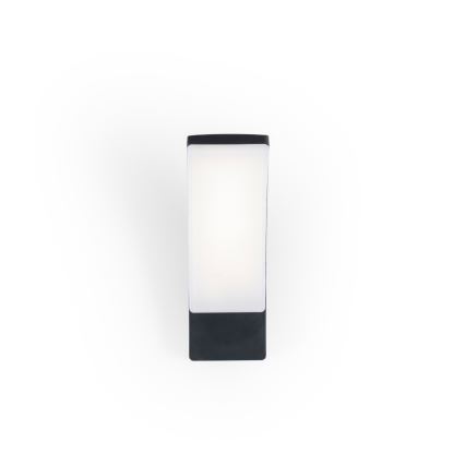 BRILAGI - LED Zunanja stenska svetilka ARCELO LED/12W/230V IP65 črna