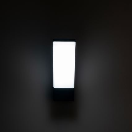 Brilagi - LED Zunanja stenska svetilka ARCELO LED/9W/230V IP44