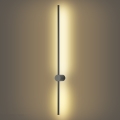 Brilagi - LED zunanja stenska svetilka AURA LED/20W/230V 3000K IP54 97 cm antracit