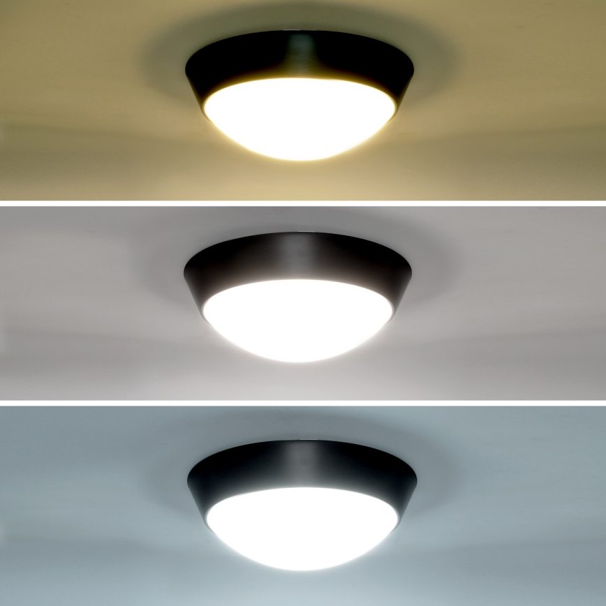 Brilagi - LED Zunanja stenska svetilka 2v1 BULKHEAD LED/20W/230V 3000/4000/6000K IP65