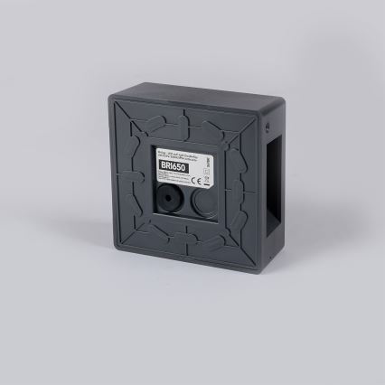 Brilagi - LED zunanja stenska svetilka DOUBLERAY LED/6W/230V antracit IP54