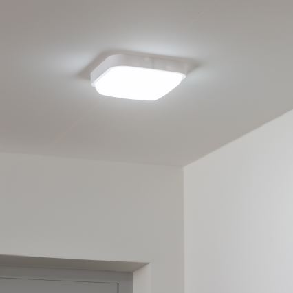 Brilagi - LED Zunanja stenska svetilka LED/20W/230V IP54