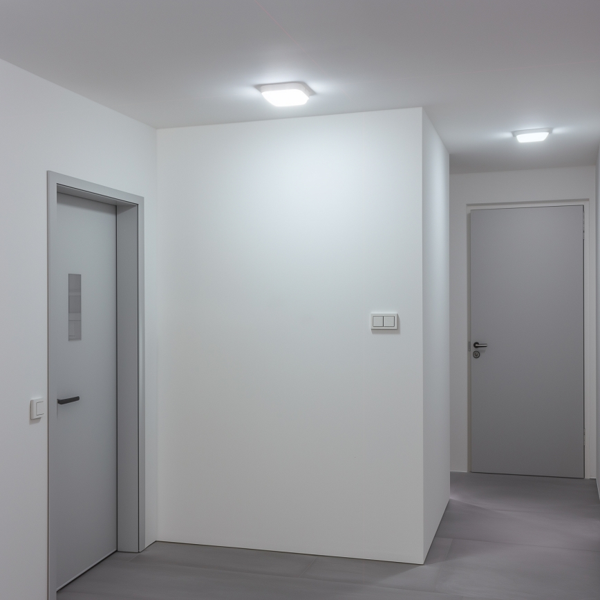 Brilagi - LED Zunanja stenska svetilka LED/20W/230V IP54