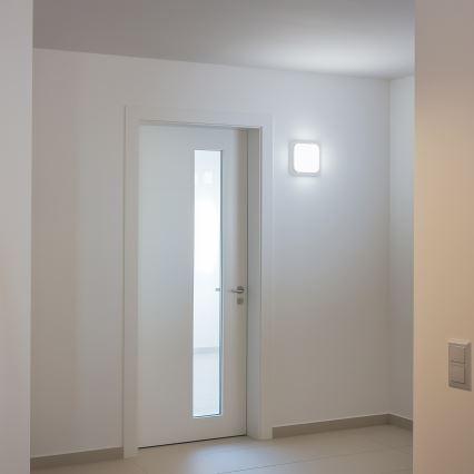 Brilagi - LED Zunanja stenska svetilka LED/20W/230V IP54