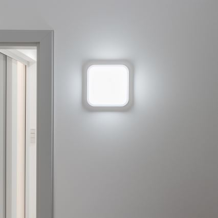 Brilagi - LED Zunanja stenska svetilka LED/20W/230V IP54