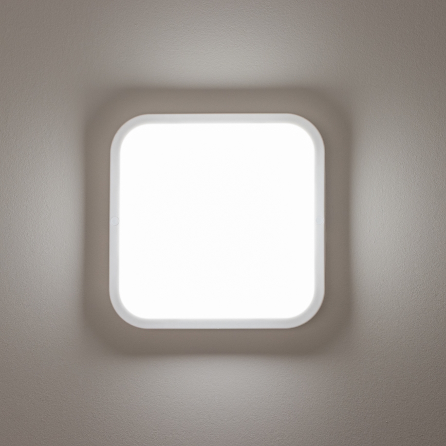 Brilagi - LED Zunanja stenska svetilka LED/20W/230V IP54