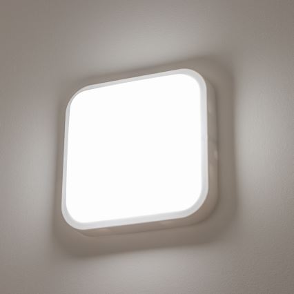Brilagi - LED Zunanja stenska svetilka LED/20W/230V IP54