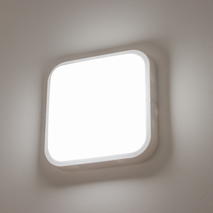 Brilagi - LED Zunanja stenska svetilka LED/20W/230V IP54