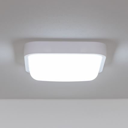 Brilagi - LED Zunanja stenska svetilka LED/20W/230V IP54