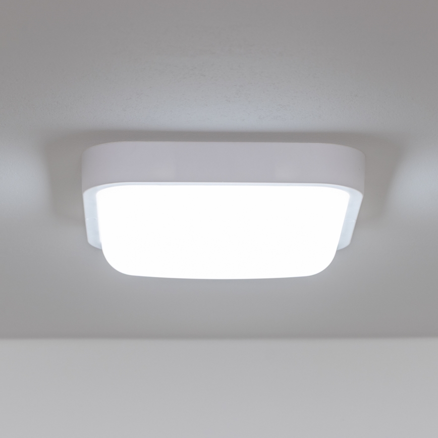 Brilagi - LED Zunanja stenska svetilka LED/20W/230V IP54