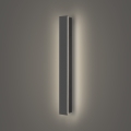Brilagi - LED zunanja stenska svetilka LINEAR LED/12W/230V 4000K IP65 50 cm antracit