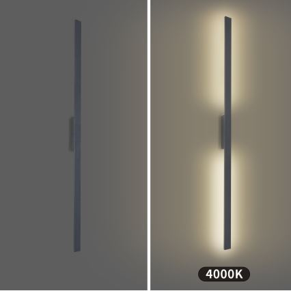 Brilagi - LED zunanja stenska svetilka LUNA LED/30W/230V 4000K IP65 150 cm antracit CRI 90