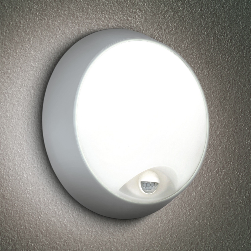 Brilagi - LED Zunanja stenska svetilka s senzorjem 2v1 BULKHEAD LED/20W/230V IP65