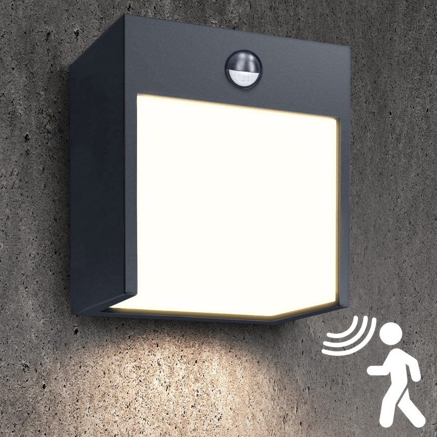 Brilagi - LED Zunanja stenska svetilka s senzorjem TERNI LED/12W/230V antracit IP44