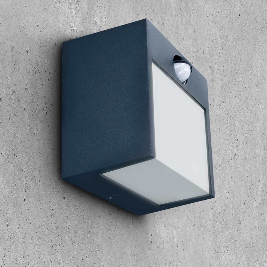 Brilagi - LED Zunanja stenska svetilka s senzorjem TERNI LED/12W/230V antracit IP44