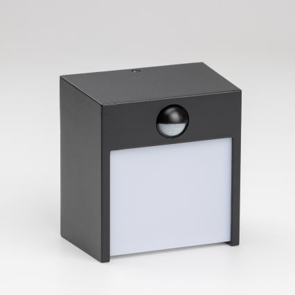 Brilagi - LED Zunanja stenska svetilka s senzorjem TERNI LED/12W/230V črna IP44