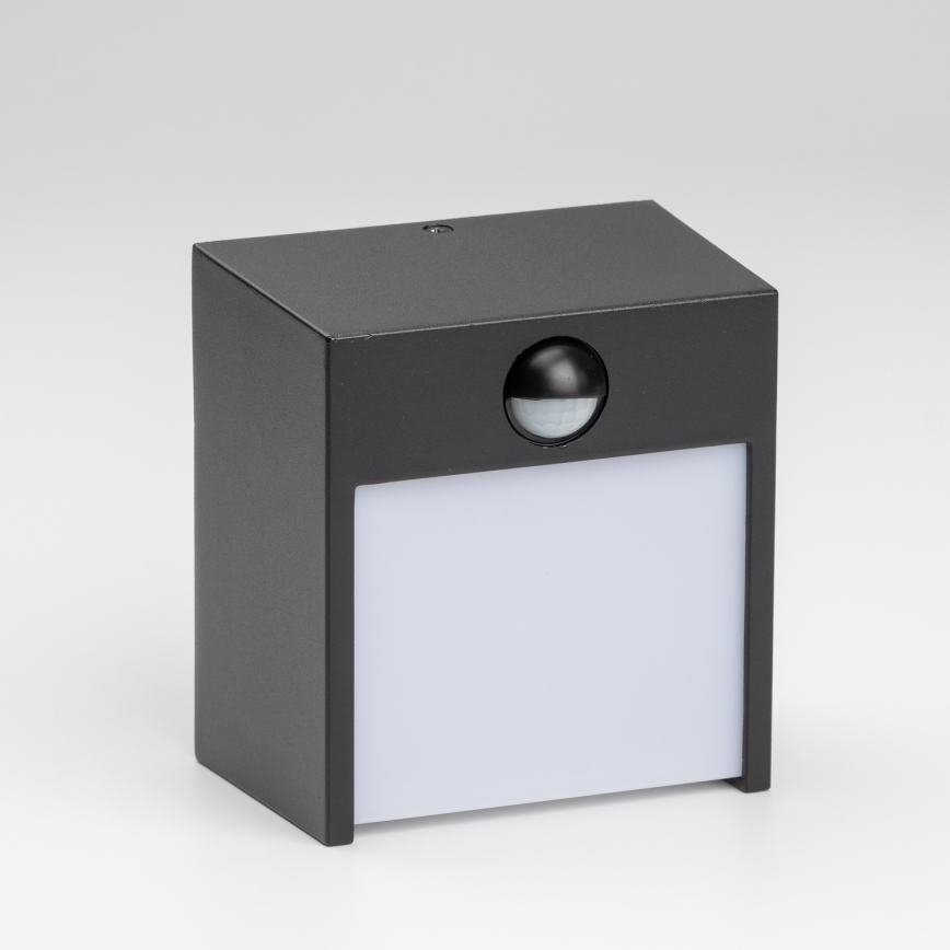 Brilagi - LED Zunanja stenska svetilka s senzorjem TERNI LED/12W/230V črna IP44