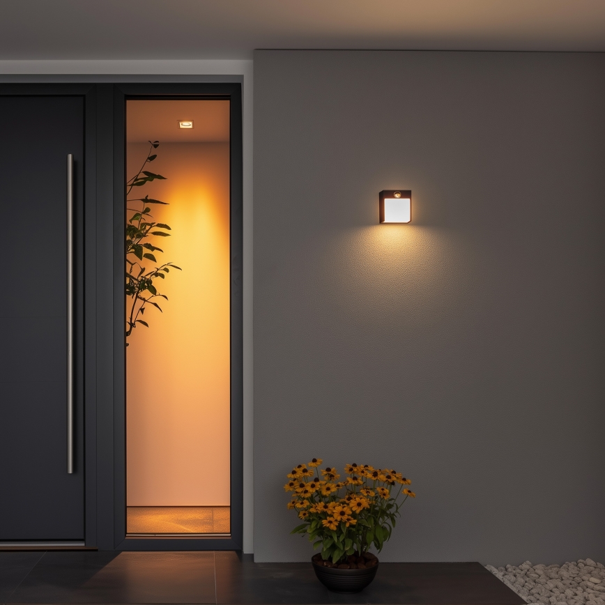 Brilagi - LED Zunanja stenska svetilka s senzorjem TERNI LED/12W/230V črna IP44