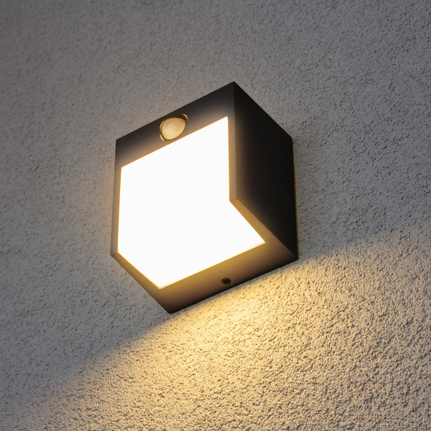 Brilagi - LED Zunanja stenska svetilka s senzorjem TERNI LED/12W/230V črna IP44