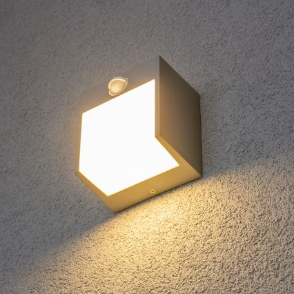 Brilagi - LED Zunanja stenska svetilka s senzorjem TERNI LED/12W/230V siva IP44