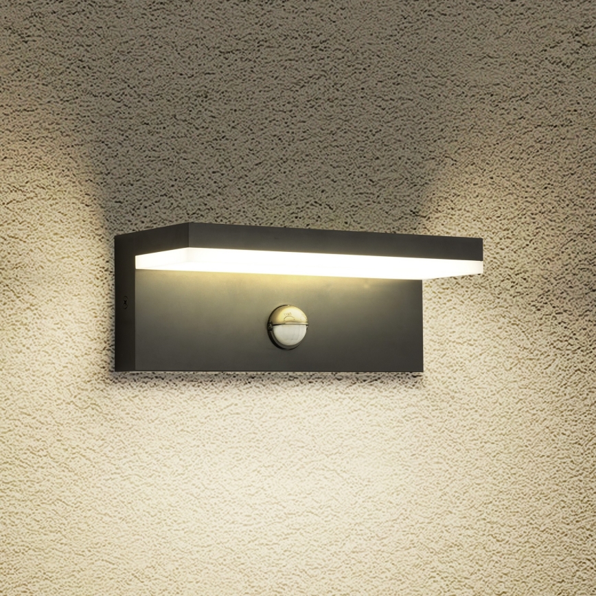 Brilagi - LED zunanja stenska svetilka s senzorjem TESSI LED/10W/230V črna IP54
