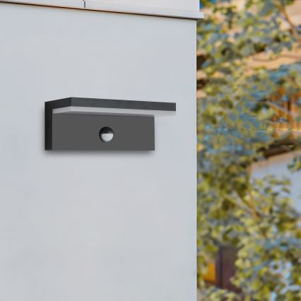 Brilagi - LED zunanja stenska svetilka s senzorjem TESSI LED/10W/230V črna IP54