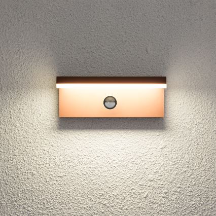 Brilagi - LED zunanja stenska svetilka s senzorjem TESSI LED/10W/230V rjava IP54