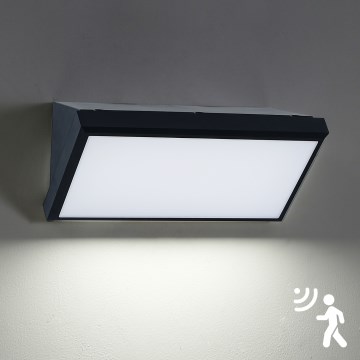 Brilagi - LED Zunanja stenska svetilka s senzorjem TRIANGLE LED/20W/230V črna IP65
