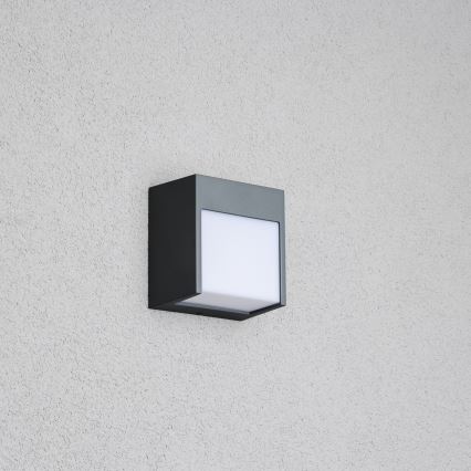 Brilagi - LED Zunanja stenska svetilka TERNI LED/12W/230V antracit IP44