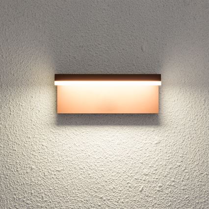 Brilagi - LED zunanja stenska svetilka TESSI LED/10W/230V rjava IP54