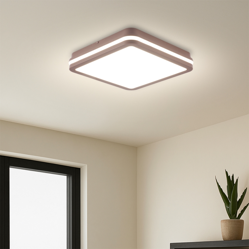 Brilagi - LED zunanja stropna svetilka BENE LED/24W/230V 26x26 cm rjava IP54