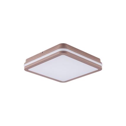 Brilagi - LED zunanja stropna svetilka BENE LED/24W/230V 26x26 cm rjava IP54