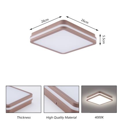 Brilagi - LED zunanja stropna svetilka BENE LED/24W/230V 26x26 cm rjava IP54