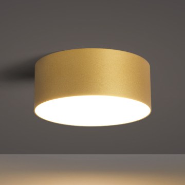BRILAGI - LED Zunanja stropna svetilka FORIS LED/20W/230V pr. 15 cm zlata IP44