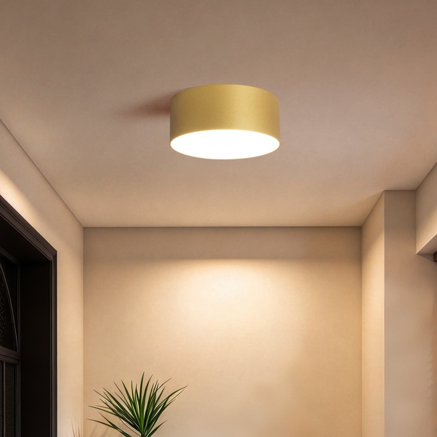 BRILAGI - LED Zunanja stropna svetilka FORIS LED/20W/230V pr. 15 cm zlata IP44