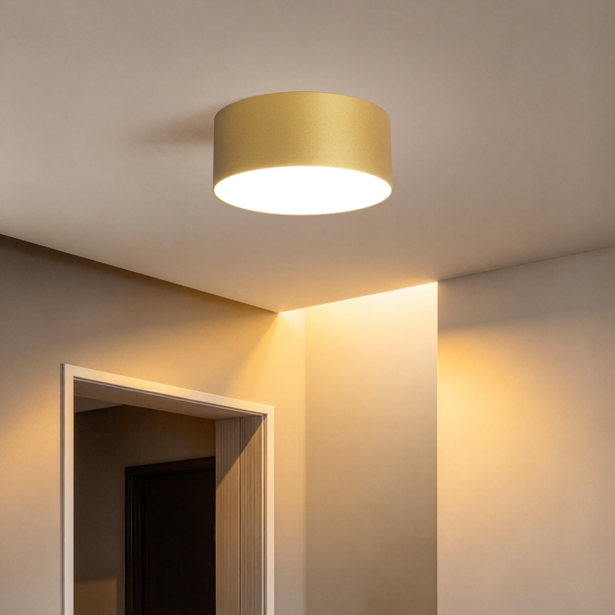 BRILAGI - LED Zunanja stropna svetilka FORIS LED/20W/230V pr. 15 cm zlata IP44