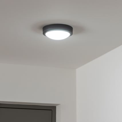 Brilagi - LED Zunanja stropna svetilka LED/13W/230V pr. 17 cm IP54 antracit