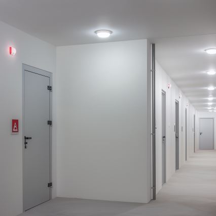 Brilagi - LED Zunanja stropna svetilka LED/13W/230V pr. 17 cm IP54
