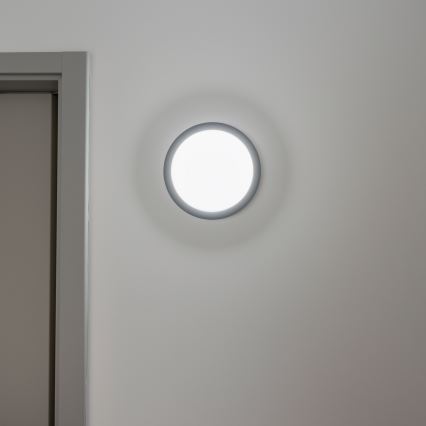 Brilagi - LED Zunanja stropna svetilka LED/20W/230V pr. 23 cm IP54 antracit