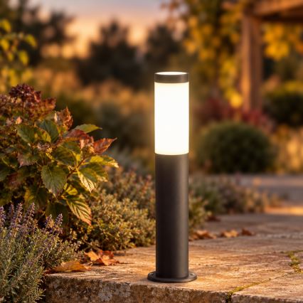 BRILAGI - LED zunanja svetilka ELIA 1xE27/7W/230V 4000K IP44 50 cm antracitna
