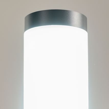 BRILAGI - LED zunanja svetilka ELIA 1xE27/7W/230V 4000K IP44 50 cm antracitna
