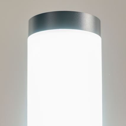BRILAGI - LED zunanja svetilka ELIA z vtičnico 1xE27/7W/230V 4000K IP44 50 cm antracit