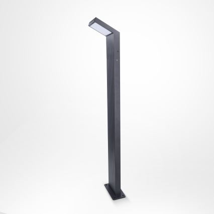 Brilagi - LED zunanja svetilka RIANO LED/8W/230V antracit IP65