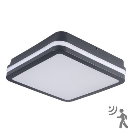 Brilagi - LED Zunanja svetilka s senzorjem BENE LED/18W/230V 22x22 cm antracit IP54