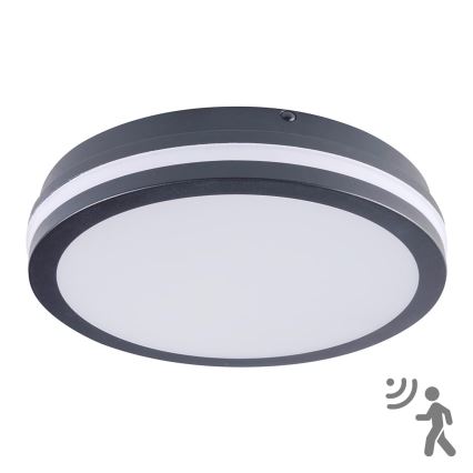 Brilagi - LED zunanja svetilka s senzorjem BENE LED/24W/230V, premer 26 cm, antracit, IP54