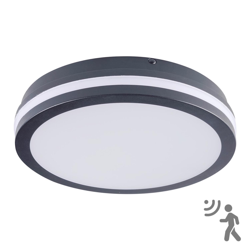 Brilagi - LED zunanja svetilka s senzorjem BENE LED/24W/230V, premer 26 cm, antracit, IP54
