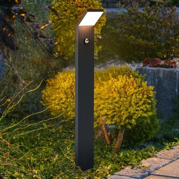 Brilagi - LED zunanja svetilka s senzorjem RIANO LED/8W/230V antracitna IP65